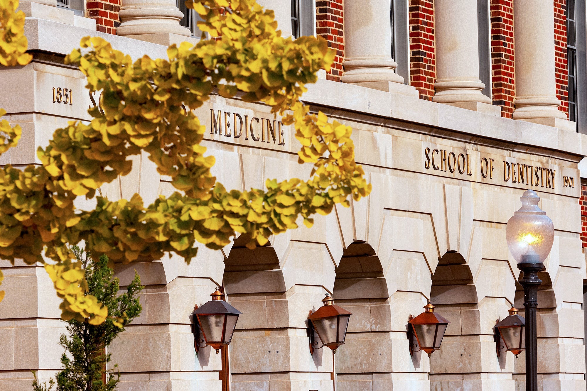 The facade of the Med-Dent building framed partially by a tree with yellow leaves