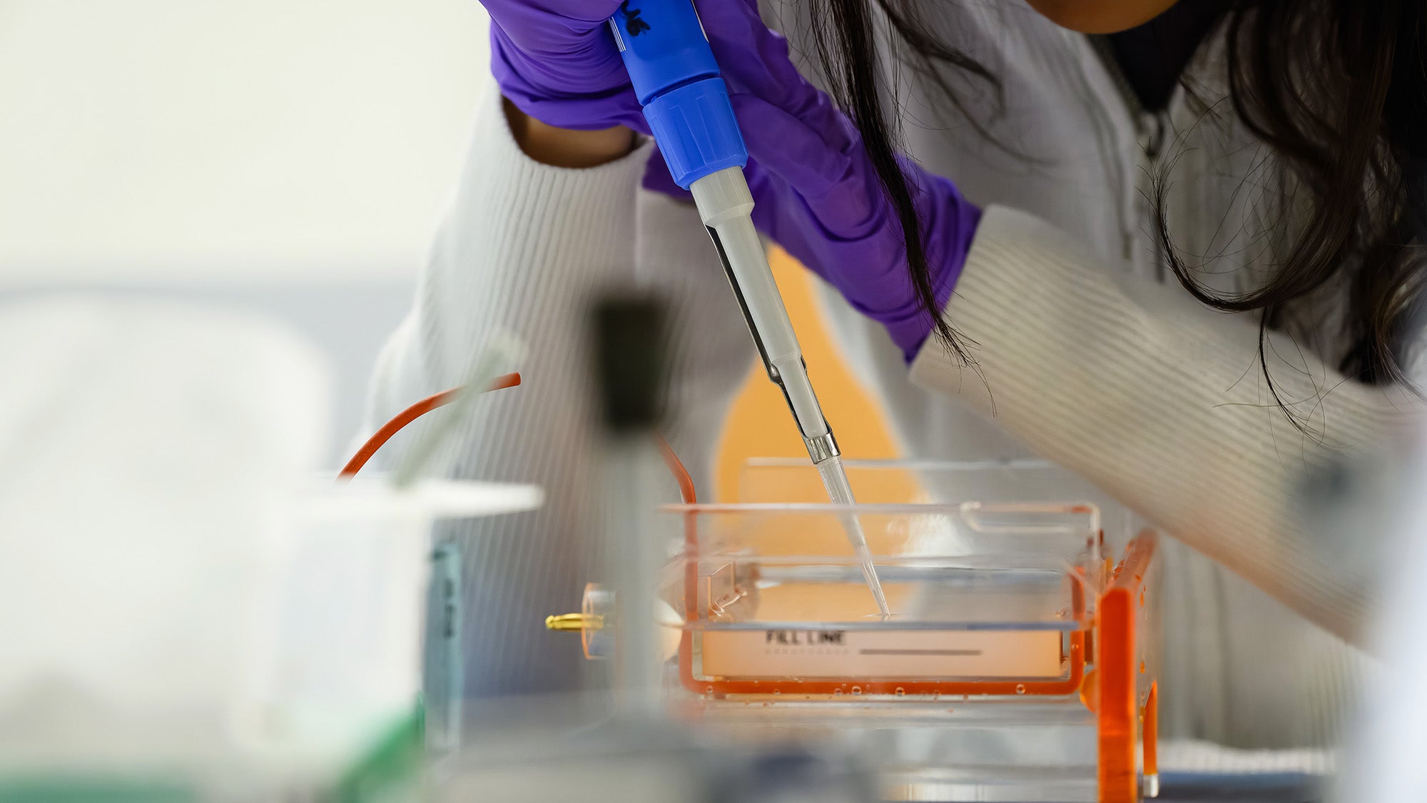 Gloved hands operate a pipette in a lab
