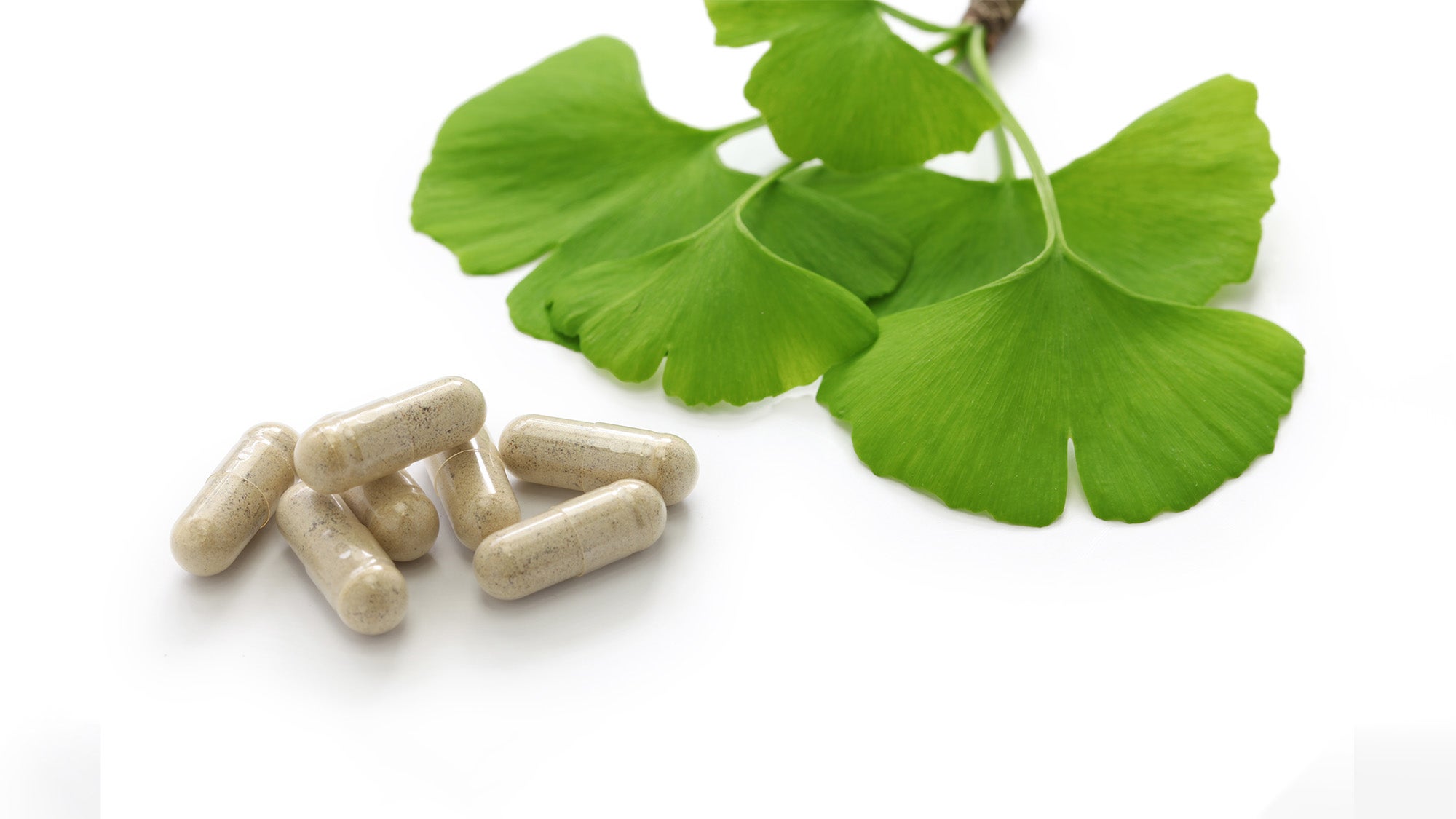 Ginko biloba leaves are displayed near a pile of supplement capsules
