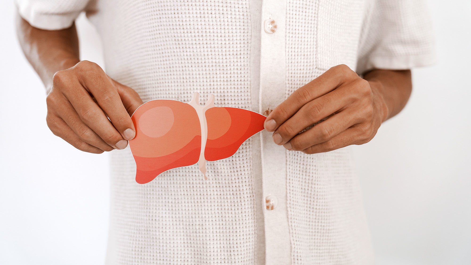 A person holds a cutout image of a liver against their midriff