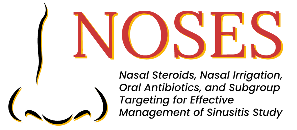 NOSES Nasal Steroids, Nasal Irrigation, Oral Antibiotics, and Subgroup Targeting for Effective Management of Sinusitis Study logo