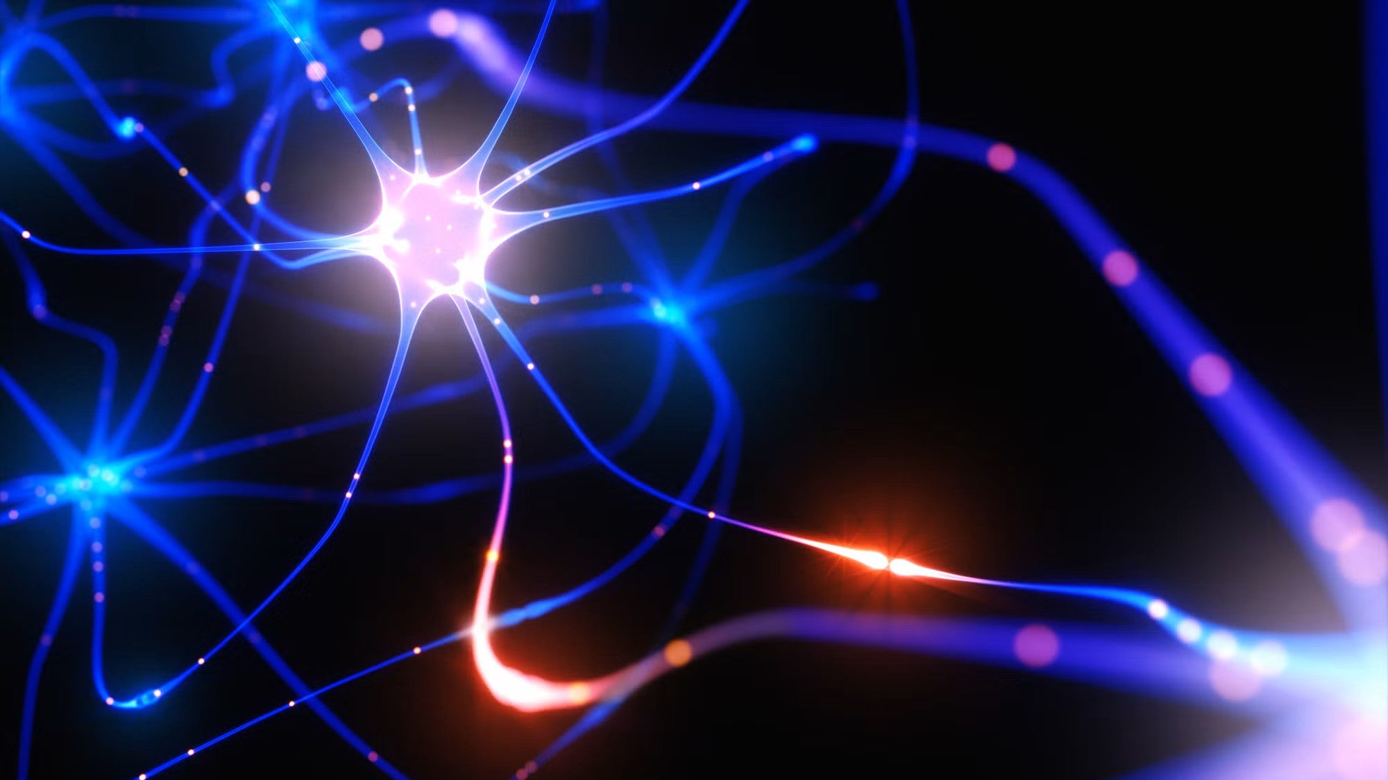 Photo-illustration of a neuron